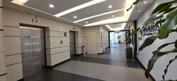 Lucky Plaza (D9), Shop House #554974641